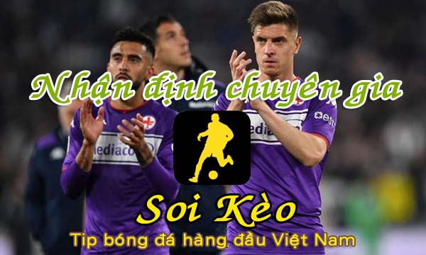 Nhận định Soi Kèo Salernitana vs Fiorentina: Ngọn nến trước gió