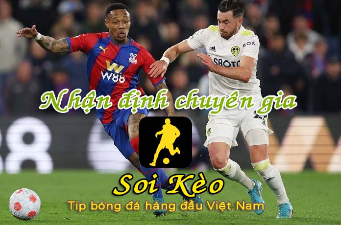 Nhận định Soi Kèo Brisbane Roar vs Leeds