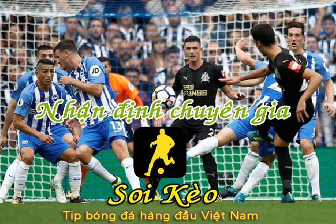 Soi Kèo Brighton vs Newcastle: