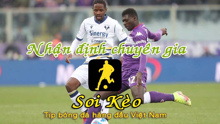 Soi Kèo Fiorentina - Verona