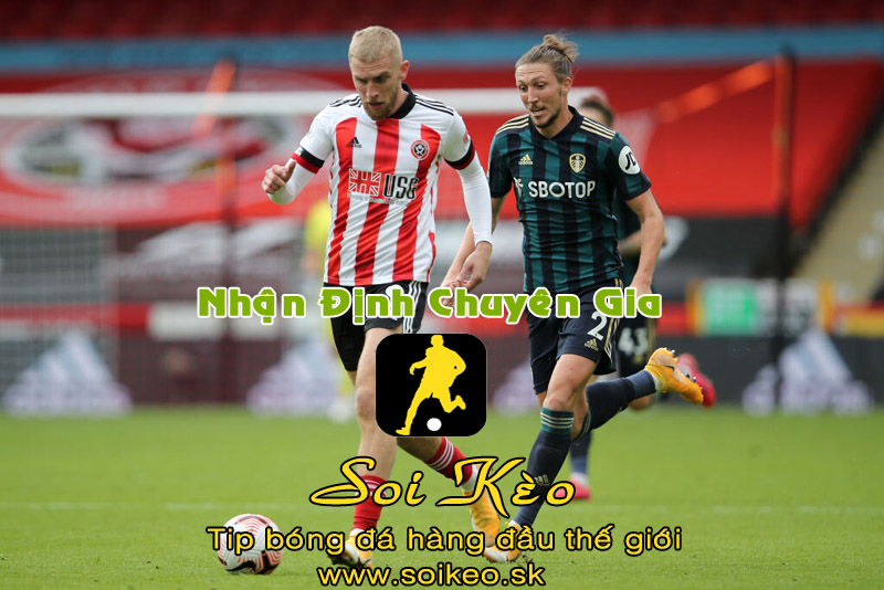Soi Kèo tip bóng đá Fulham - Sheffield United