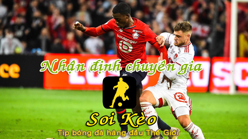 Soi Kèo Lille - Brest