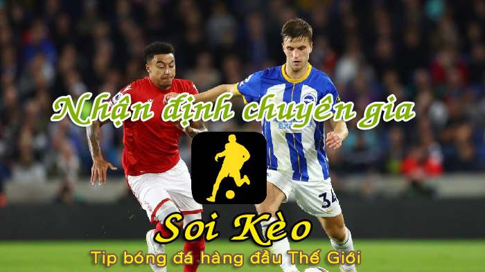 Soi Kèo tip bóng đá Nottingham - Brighton