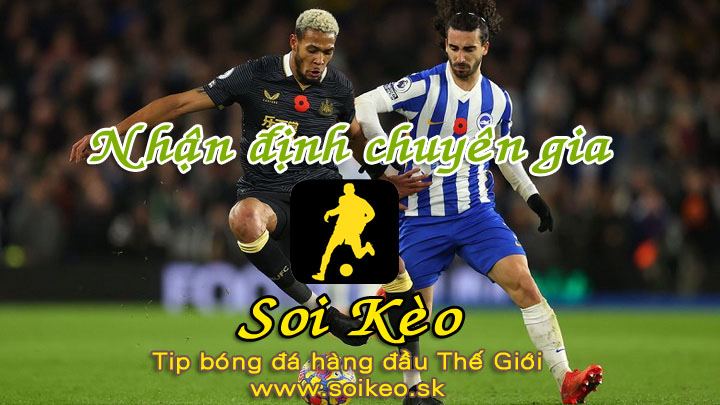 Soi Kèo tip bóng đá Newcastle - Brighton