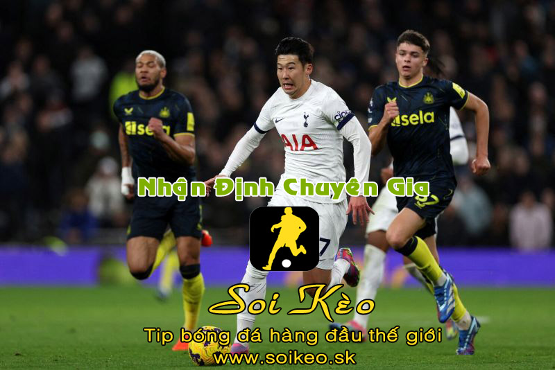 Soi Kèo Tottenham - Newcastle